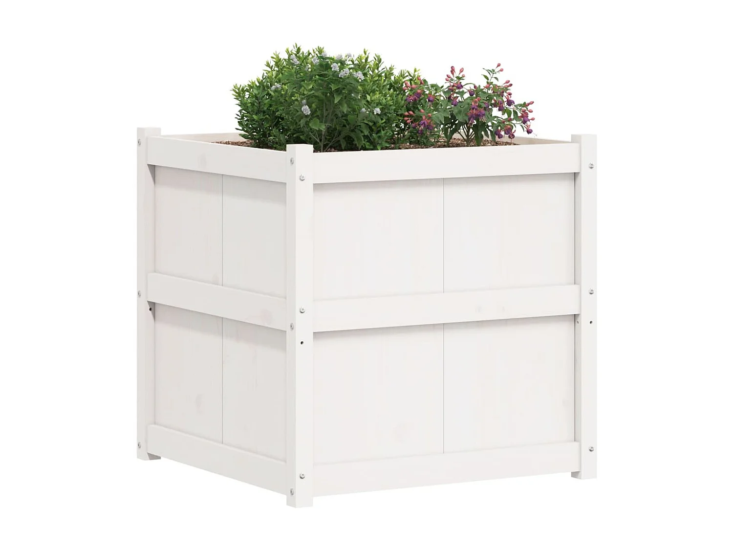 Jardinière blanc 70x70x70 cm bois de pin massif