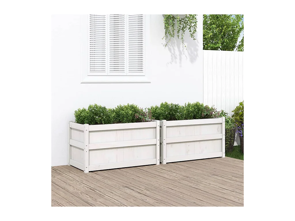 Jardinières 2 pcs blanc bois de pin massif