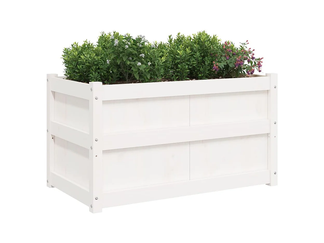 Jardinières 2 pcs blanc bois de pin massif