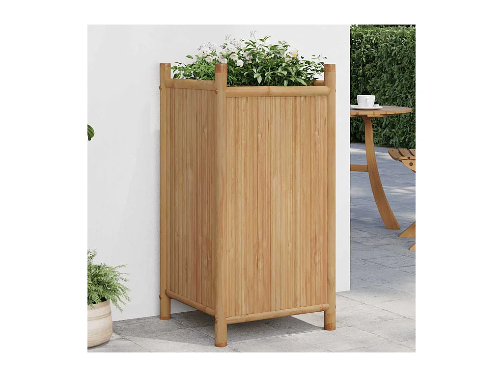 40x40x80 cm Bambuspflanzer