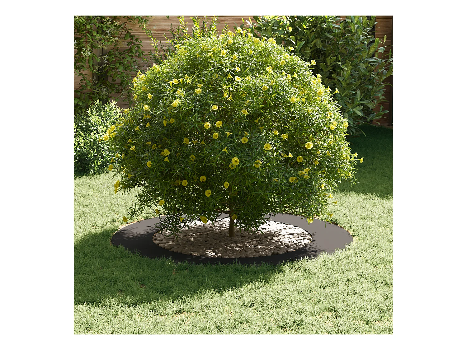 Ensemble de Jardinières en Plastique Noir Plastique