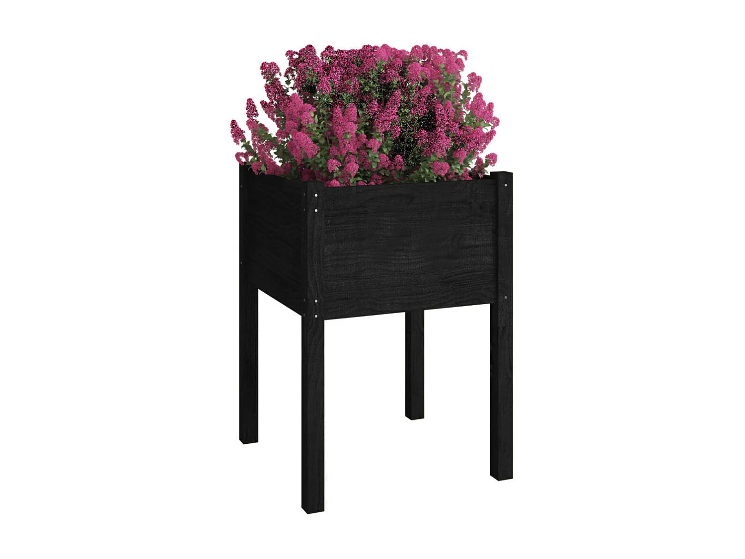 Jardinières 2 pcs Noir 50x50x70 cm Bois de pin massif