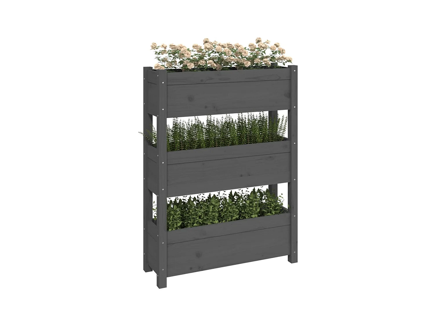 Jardinière Gris 77x25x104,5 cm Bois massif de pin