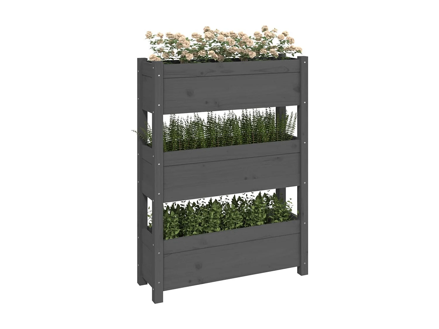 Jardinière Gris 77x25x104,5 cm Bois massif de pin