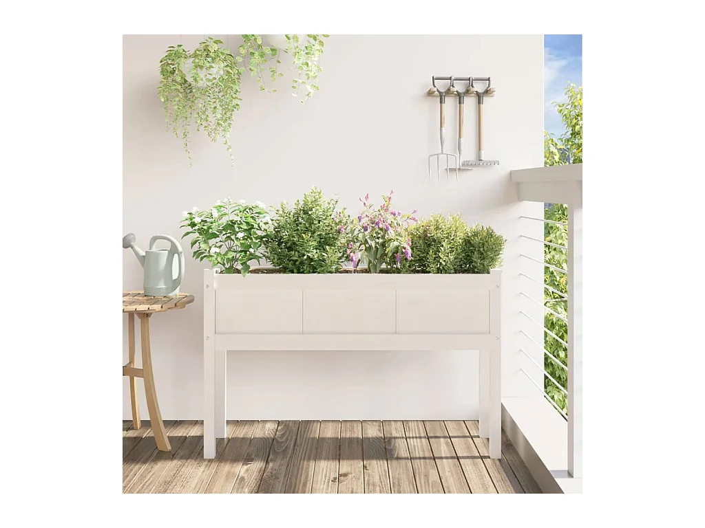 Plantenbakken met witte voetjes 110x31x70 cm massief grenenhout