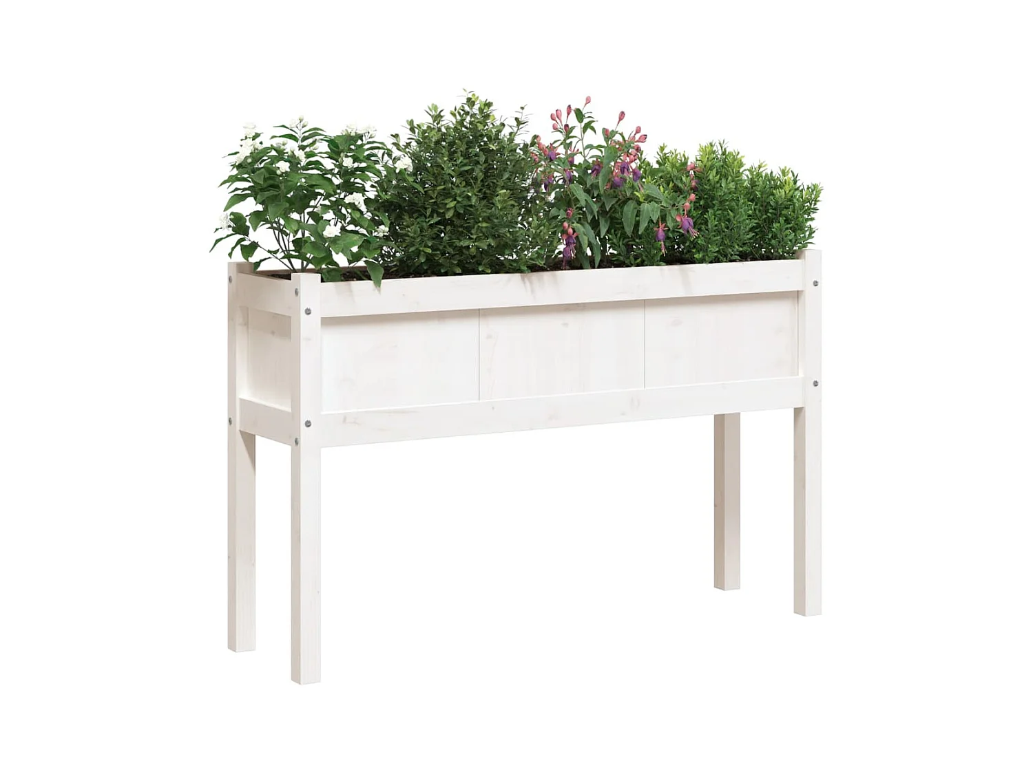 Plantenbakken met witte voetjes 110x31x70 cm massief grenenhout