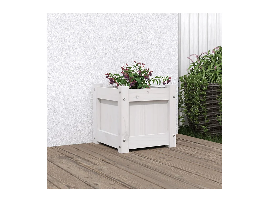 Witte plantenbak 31x31x31 cm massief grenenhout
