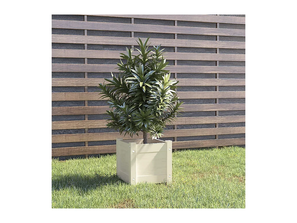 Jardinière d'extérieur Blanc 31x31x31 cm Bois de pin massif