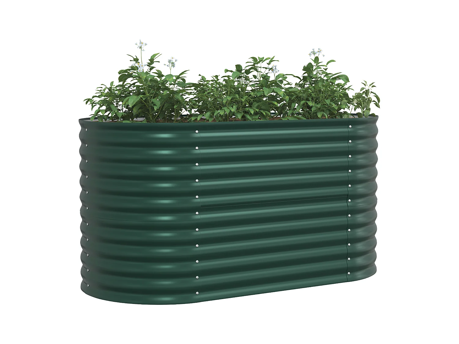 Jardinière Élevée Verte 160x80x81 cm Acier Galvanisé
