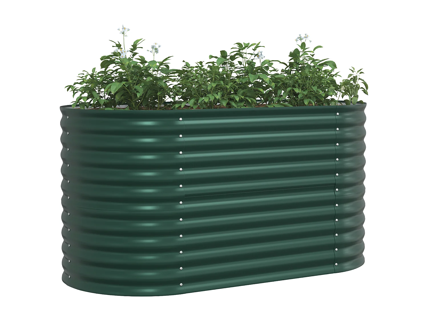 Jardinière Élevée Verte 160x80x81 cm Acier Galvanisé