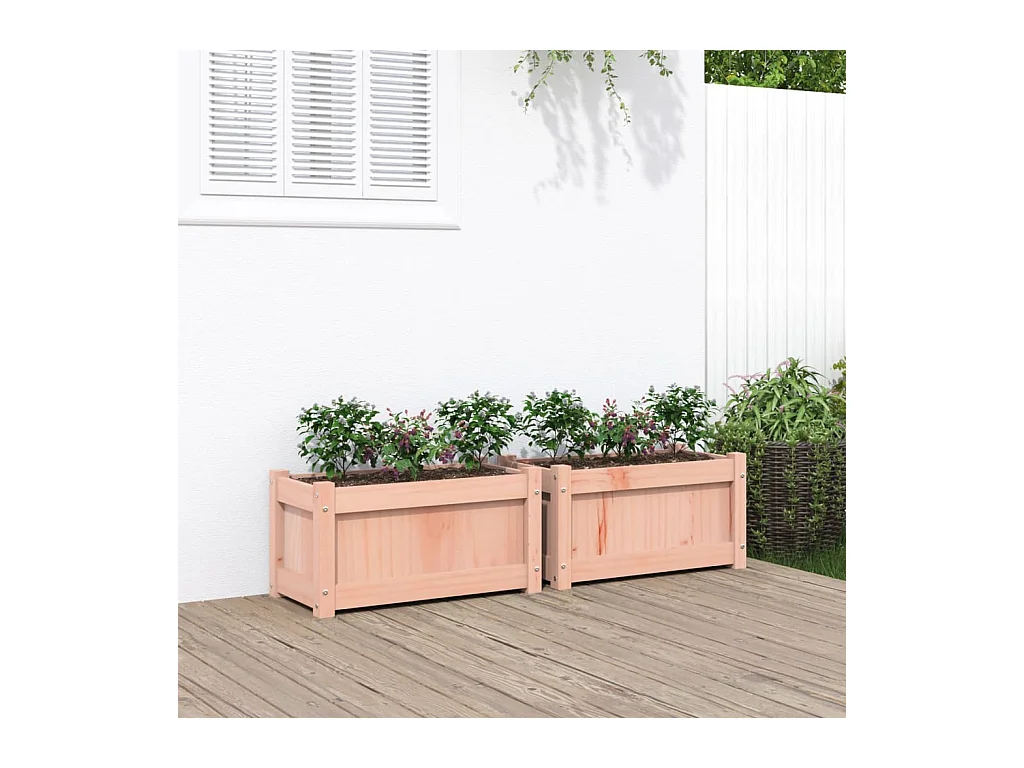 Jardinières 2 pcs bois massif douglas