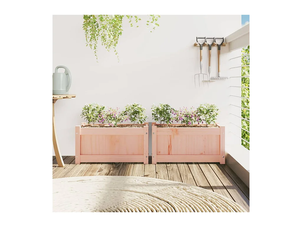 Jardinières 2 pcs bois massif douglas
