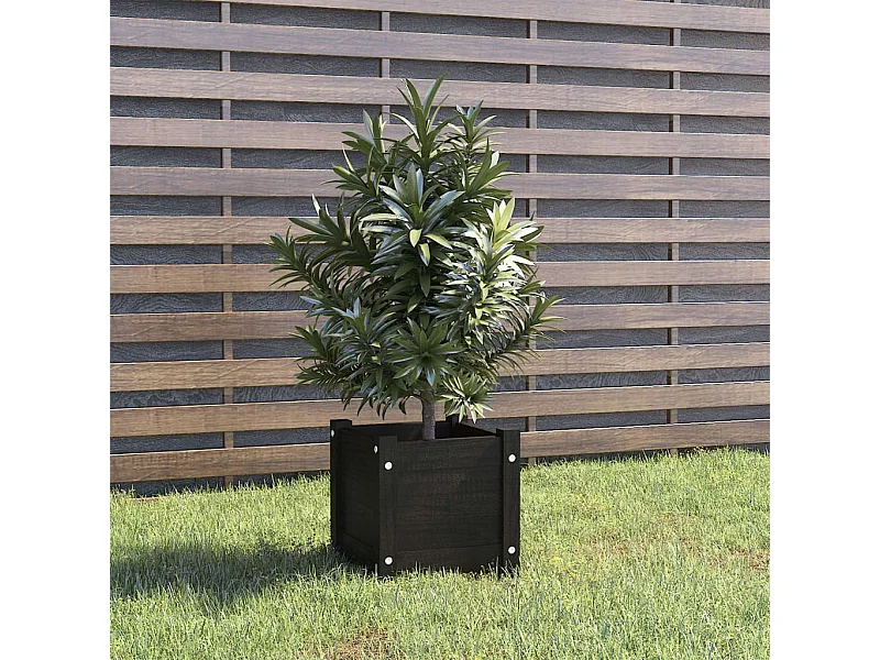 Buitenbloembak Zwart 31x31x31 cm Massief grenenhout