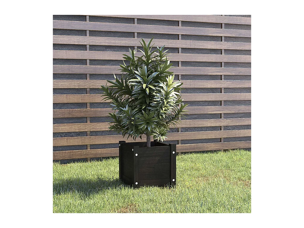 Buitenbloembak Zwart 31x31x31 cm Massief grenenhout