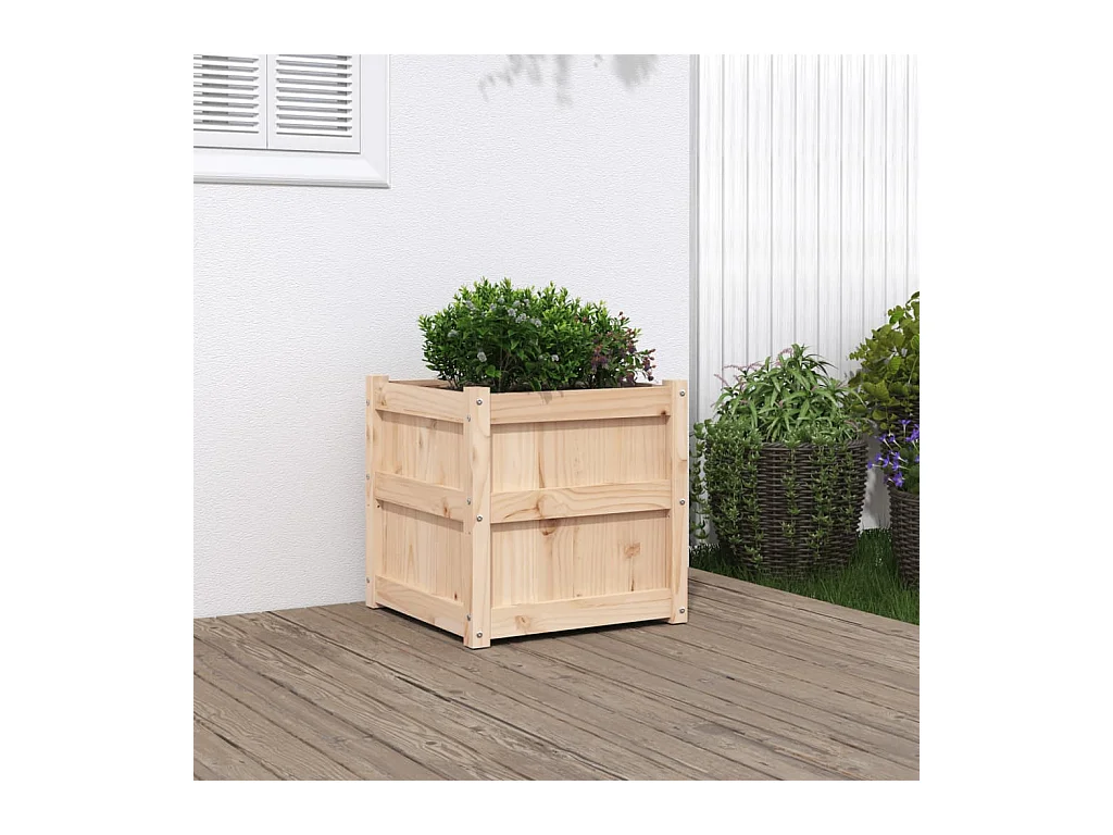 Jardinière 50x50x50 cm bois de pin massif