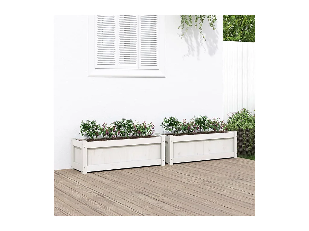 Jardinières 2 pcs blanc bois de pin massif
