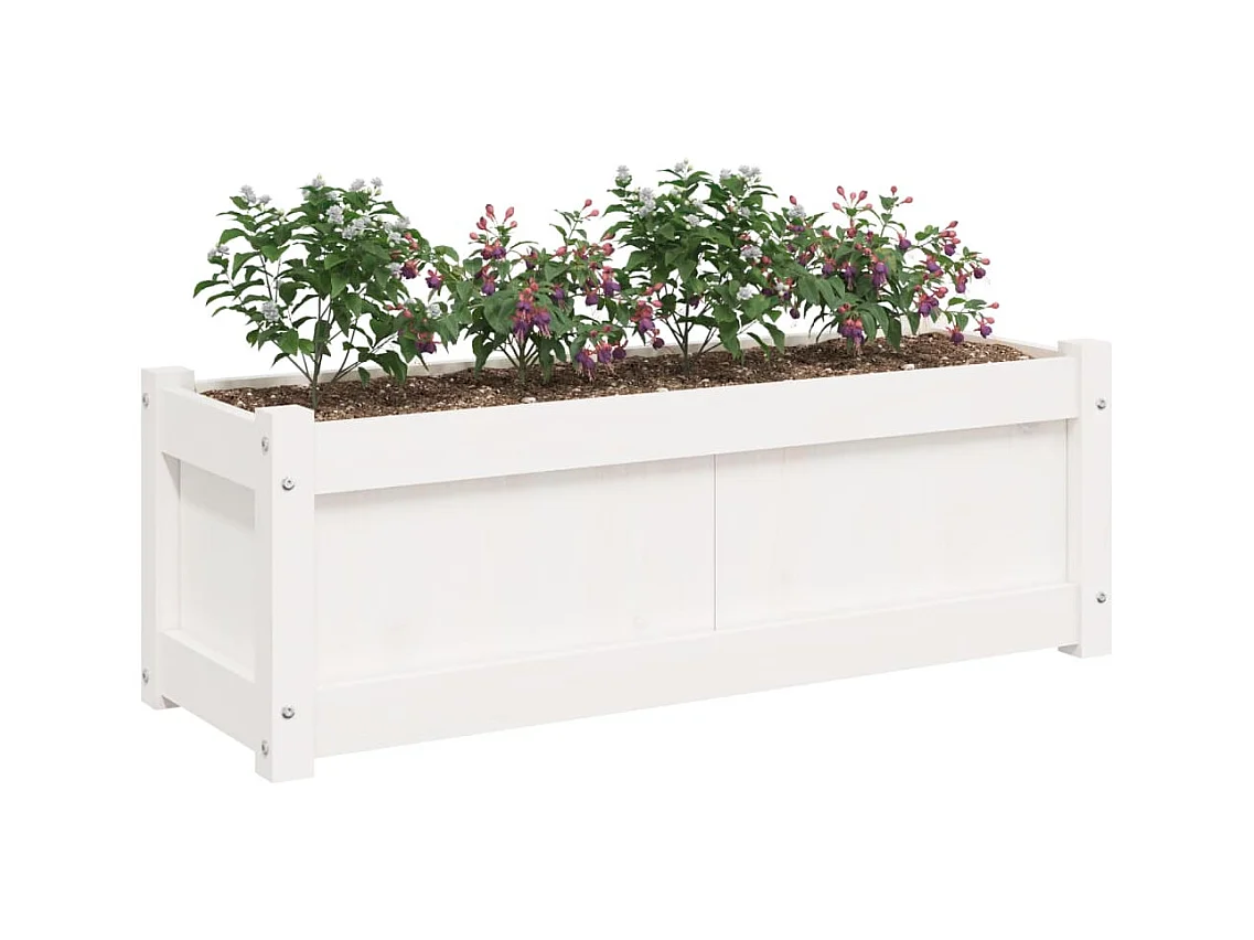 Jardinières 2 pcs blanc bois de pin massif