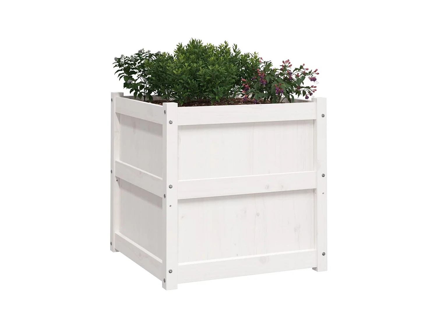 Jardinières 2 pcs blanc bois de pin massif