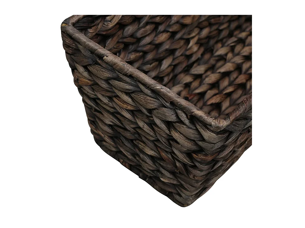 Jardinières 2 pcs Jacinthe d'eau Marron