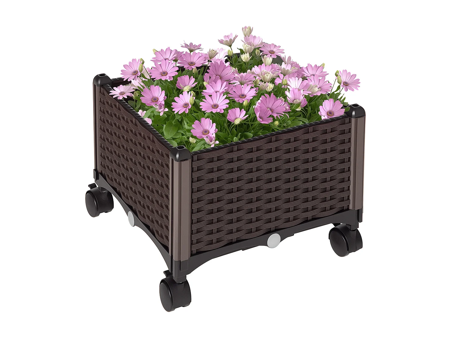 Jardinière sur roulettes dim. 40L x 40l x 31H cm insert d'irrigation plastique imitation rotin tressé chocolat