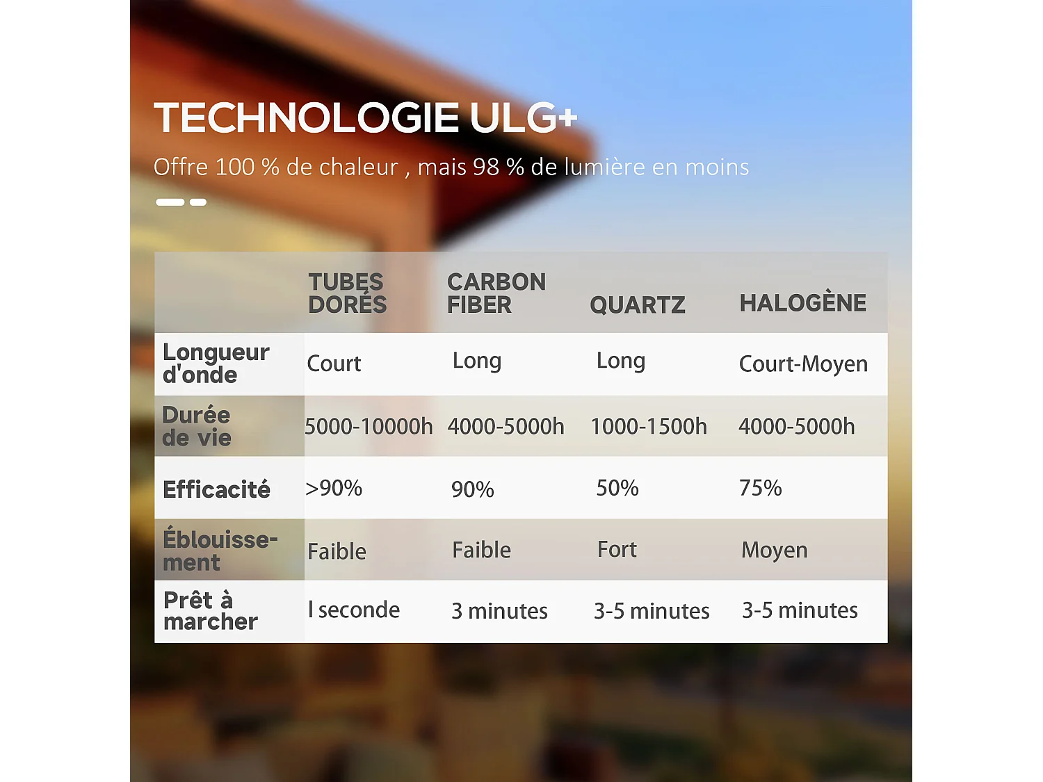 Chauffage extérieur infrarouge 2000 W max. réglable 6 niv. - chauffage radiant sur pied - poignée, télécommande - alliage alu. fonte noir