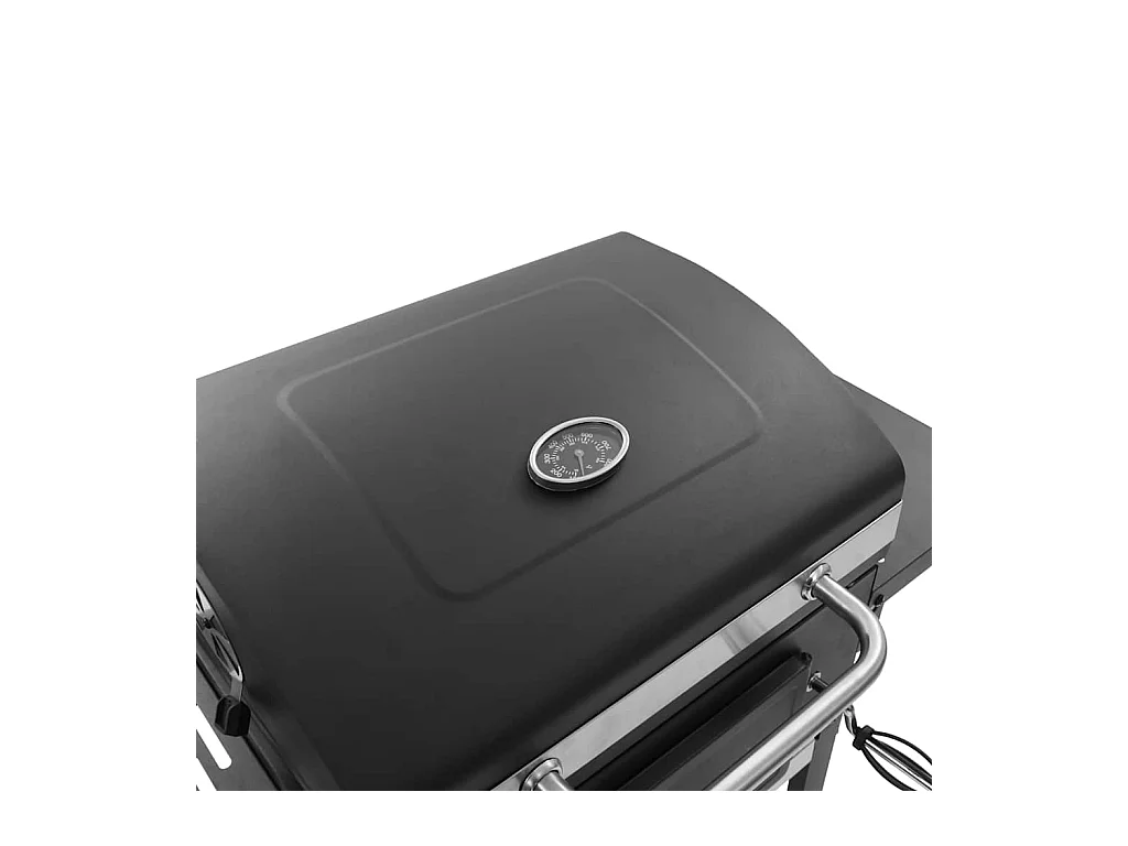 Gril de barbecue au charbon de bois et étagère inférieure Noir