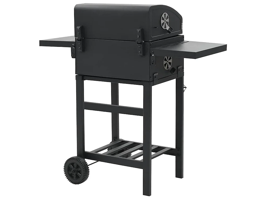 Gril de barbecue au charbon de bois et étagère inférieure Noir