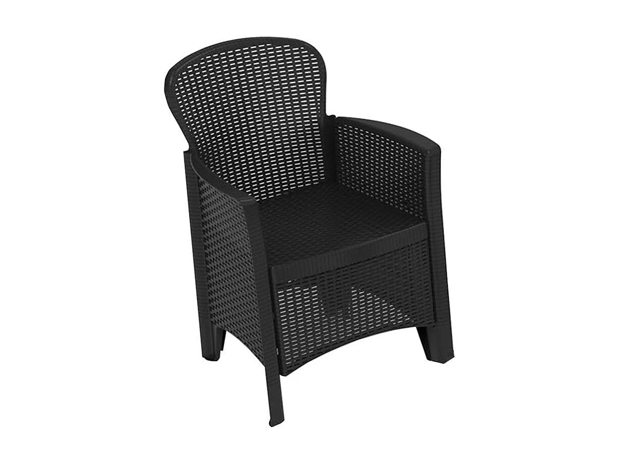 Ensemble Jungle Avec Coussin Jun06can Progarden