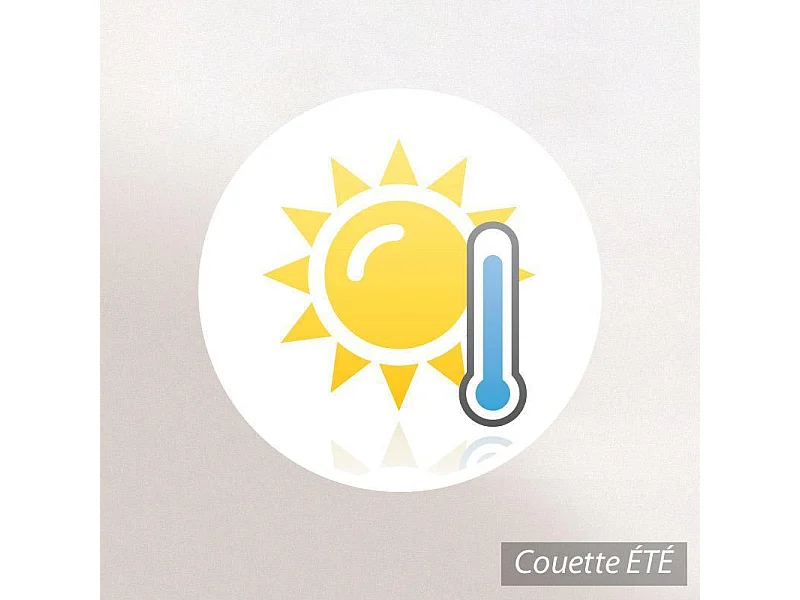 Couette 240x220 cm été BAMBOO garnissage viscose de bambou 200 g/m2