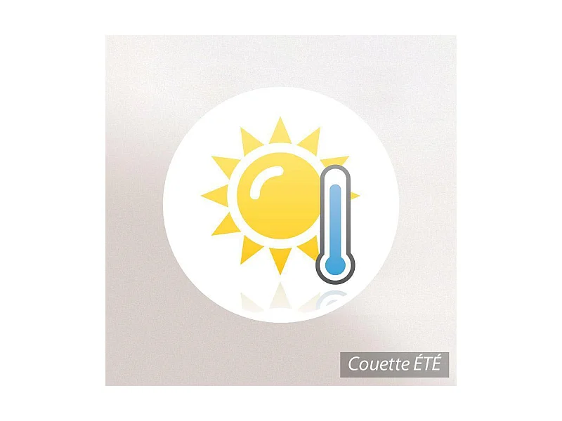 Couette 260x240 cm été BAMBOO garnissage viscose de bambou 200 g/m2