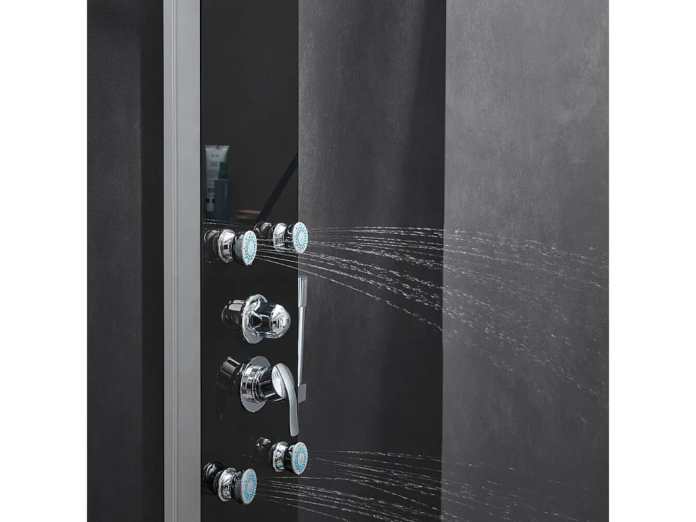 Home Deluxe Panneau de douche DIVE noir