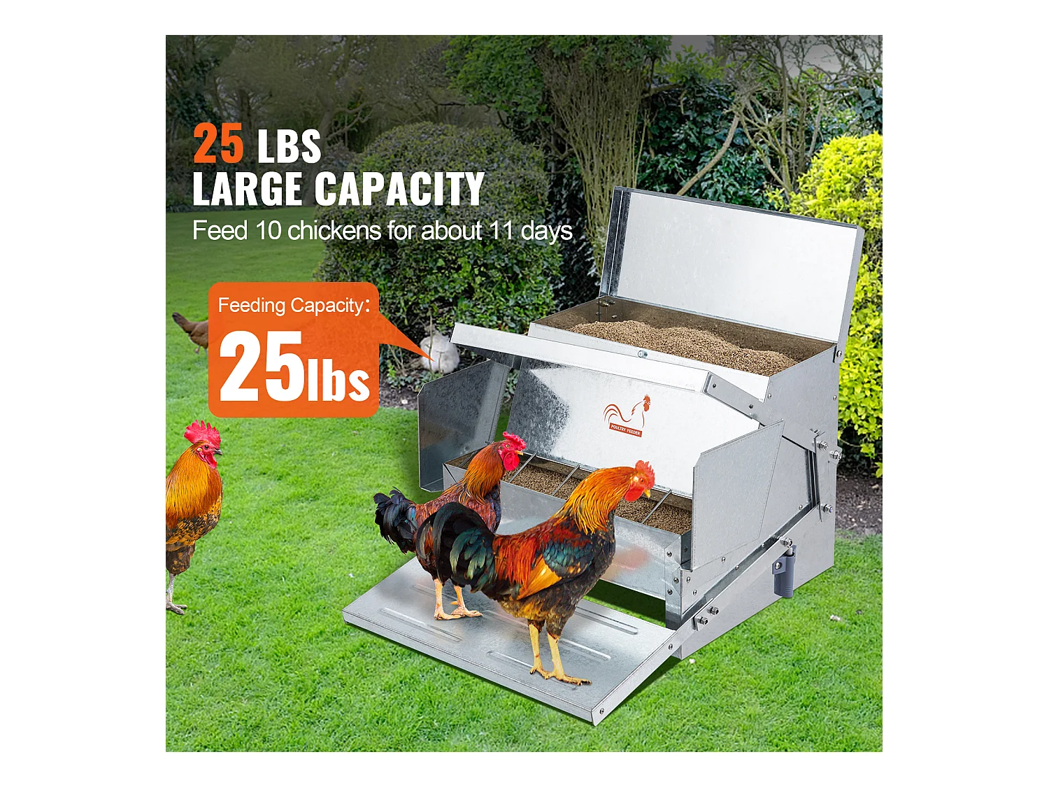 Mangeoire Automatique SucceBuy pour Poulets, Acier Galvanisé, Capacité de 11 kg, pour 10 Poulets