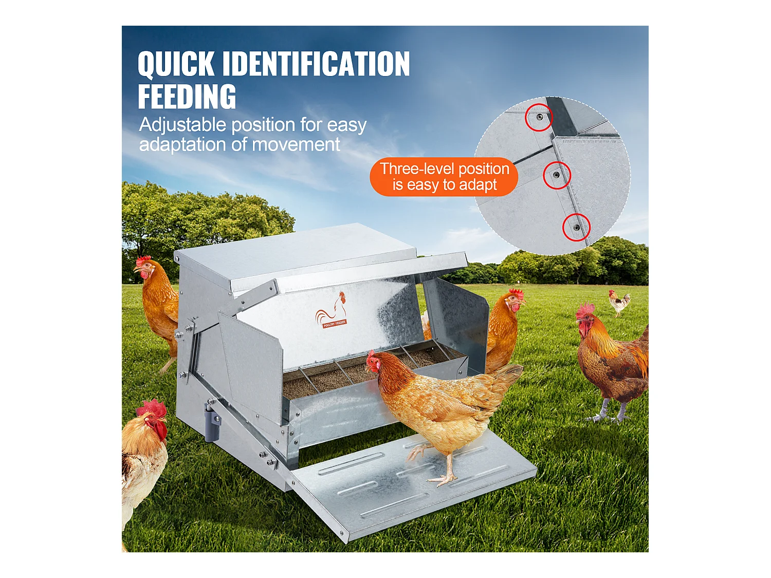 Mangeoire Automatique SucceBuy pour Poulets, Acier Galvanisé, Capacité de 11 kg, pour 10 Poulets