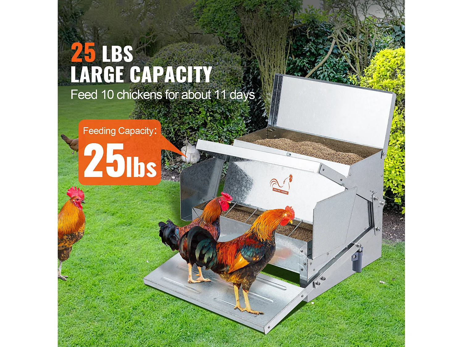 Comedero Automático SucceBuy para Pollos, Acero Galvanizado, Capacidad de 11 kg, para 10 Pollos