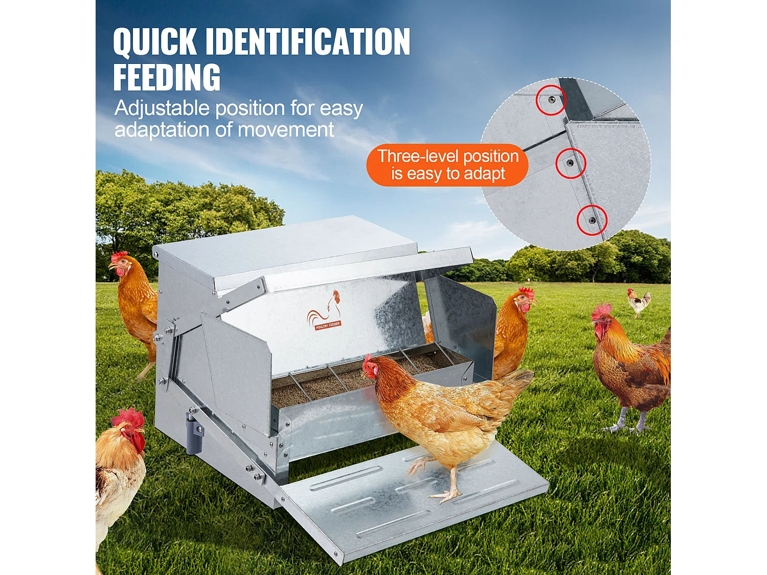 Comedero Automático SucceBuy para Pollos, Acero Galvanizado, Capacidad de 11 kg, para 10 Pollos