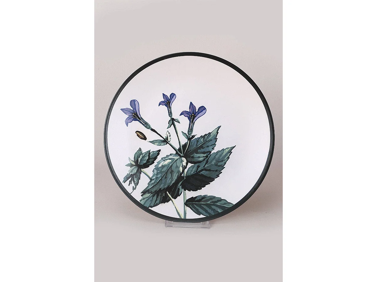 Lot de 6 grandes assiettes Olya D25cm Céramique Motif Plantes