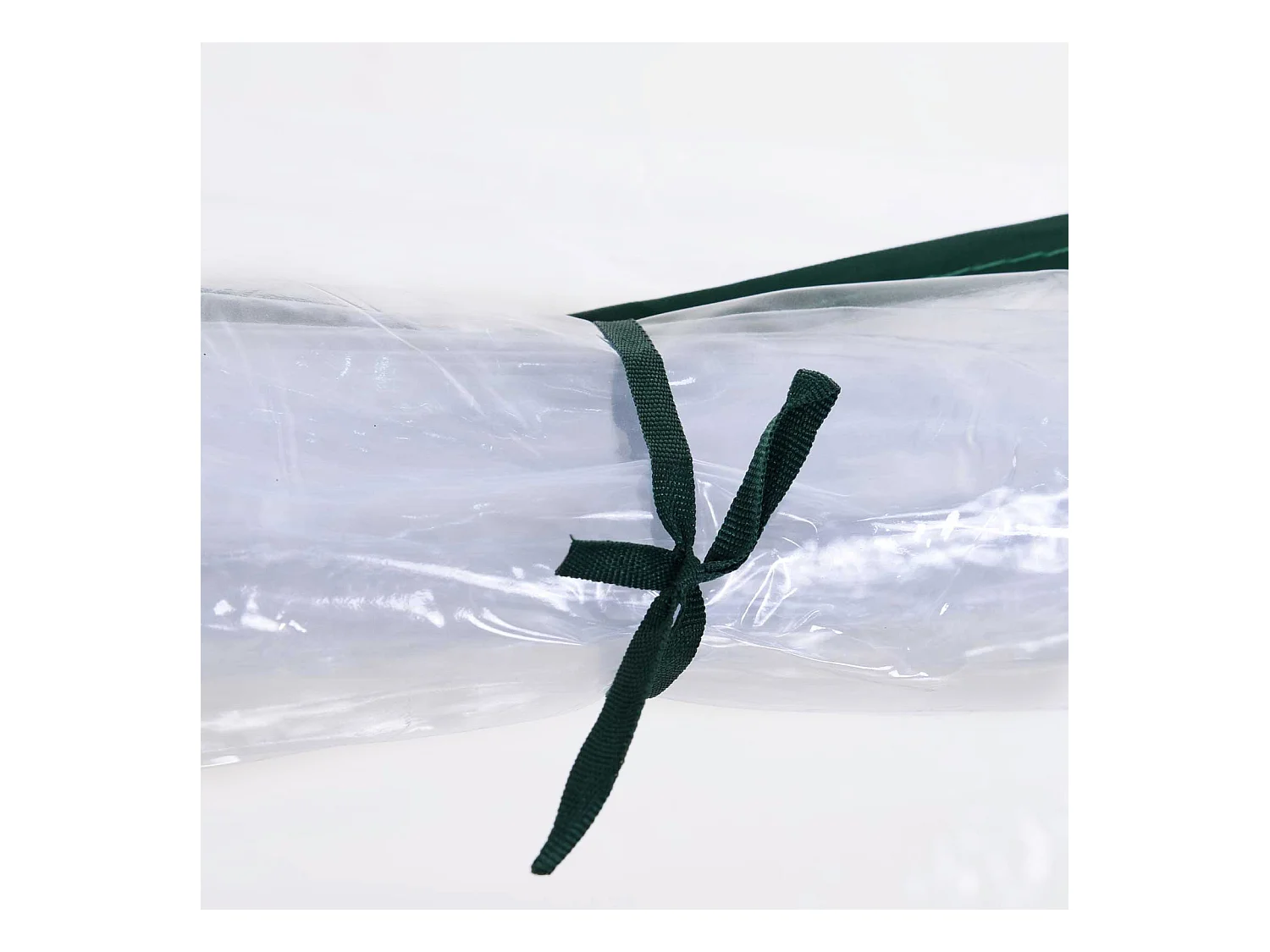 Serre de jardin avec porte, cadre acier, PVC transparent, léger (250x100x80cm)