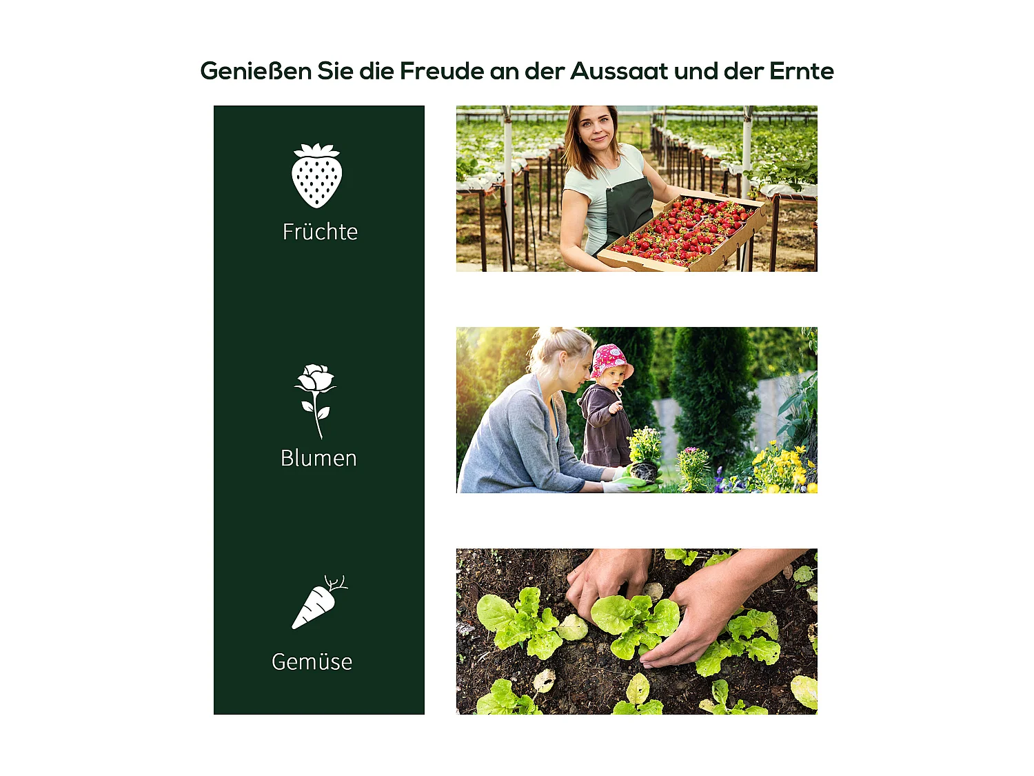 Tuinkas met deur, stalen frame, transparant PVC, lichtgewicht (250x100x80cm)