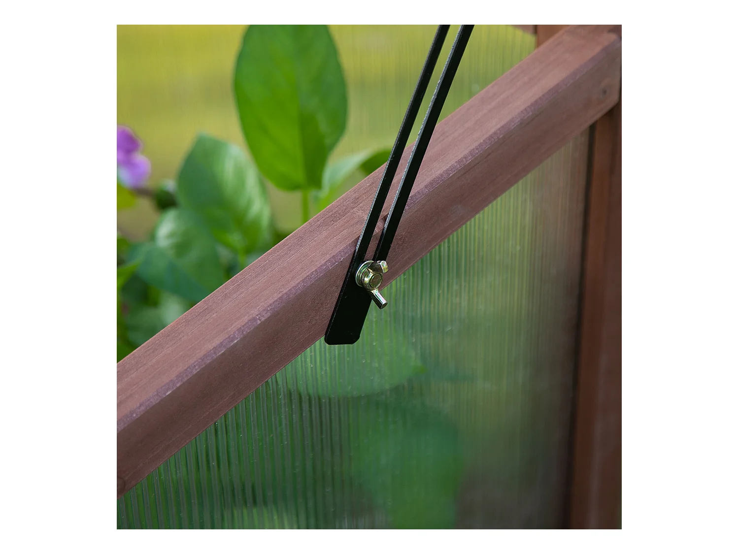 Serre de jardin avec couverture transparente, en bois et PC, pour légumes et plantes, brun (90x50x93 cm)