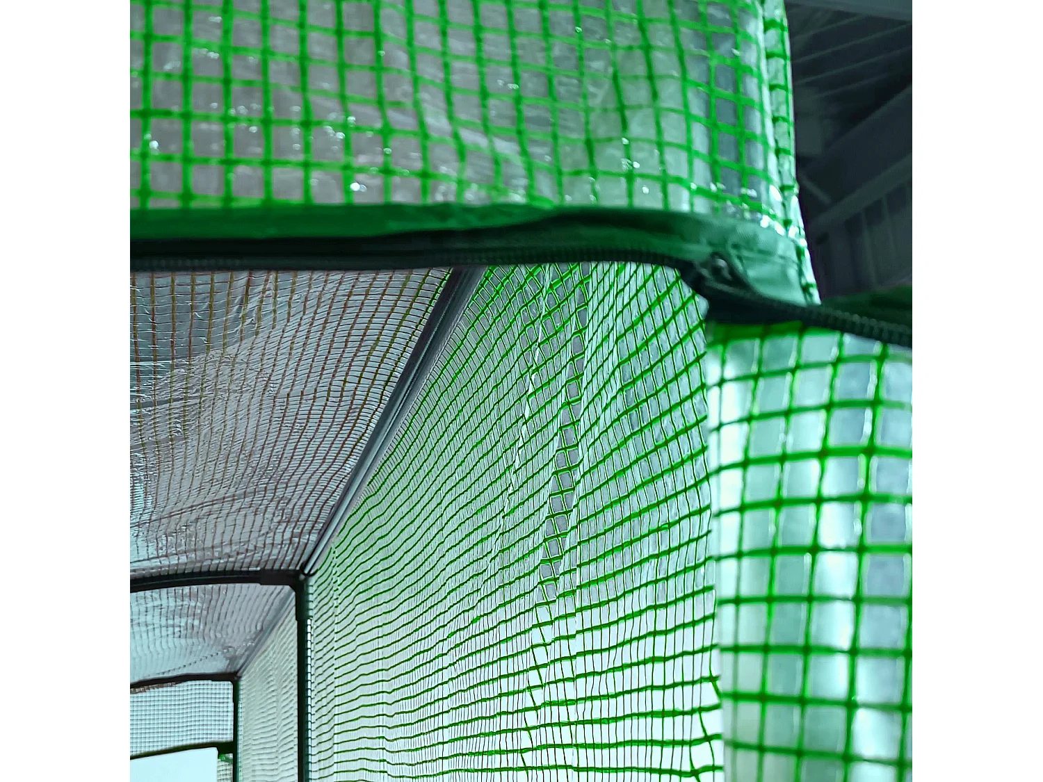 Serre en plastique, avec 2 portes, UV, acier & PE, vert (200x100x215 cm)