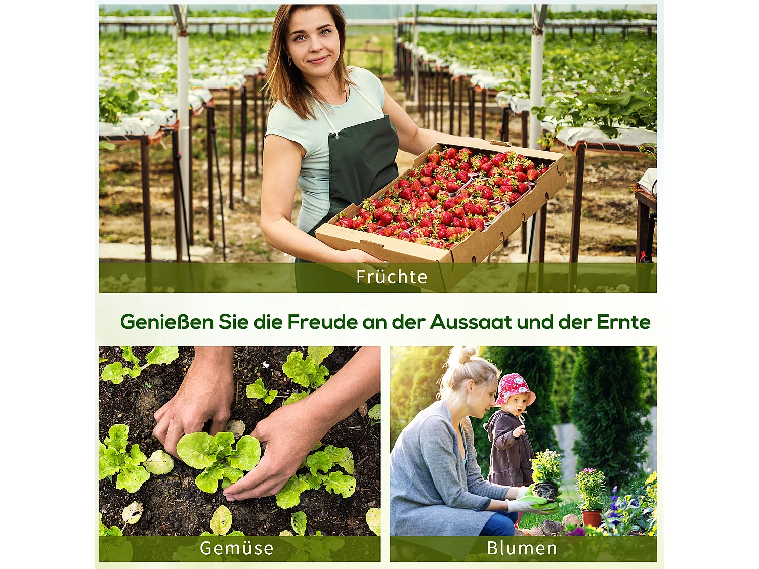 Tuinkas voor tomaten en planten, stalen constructie, polyester, groen (180x90x90 cm)