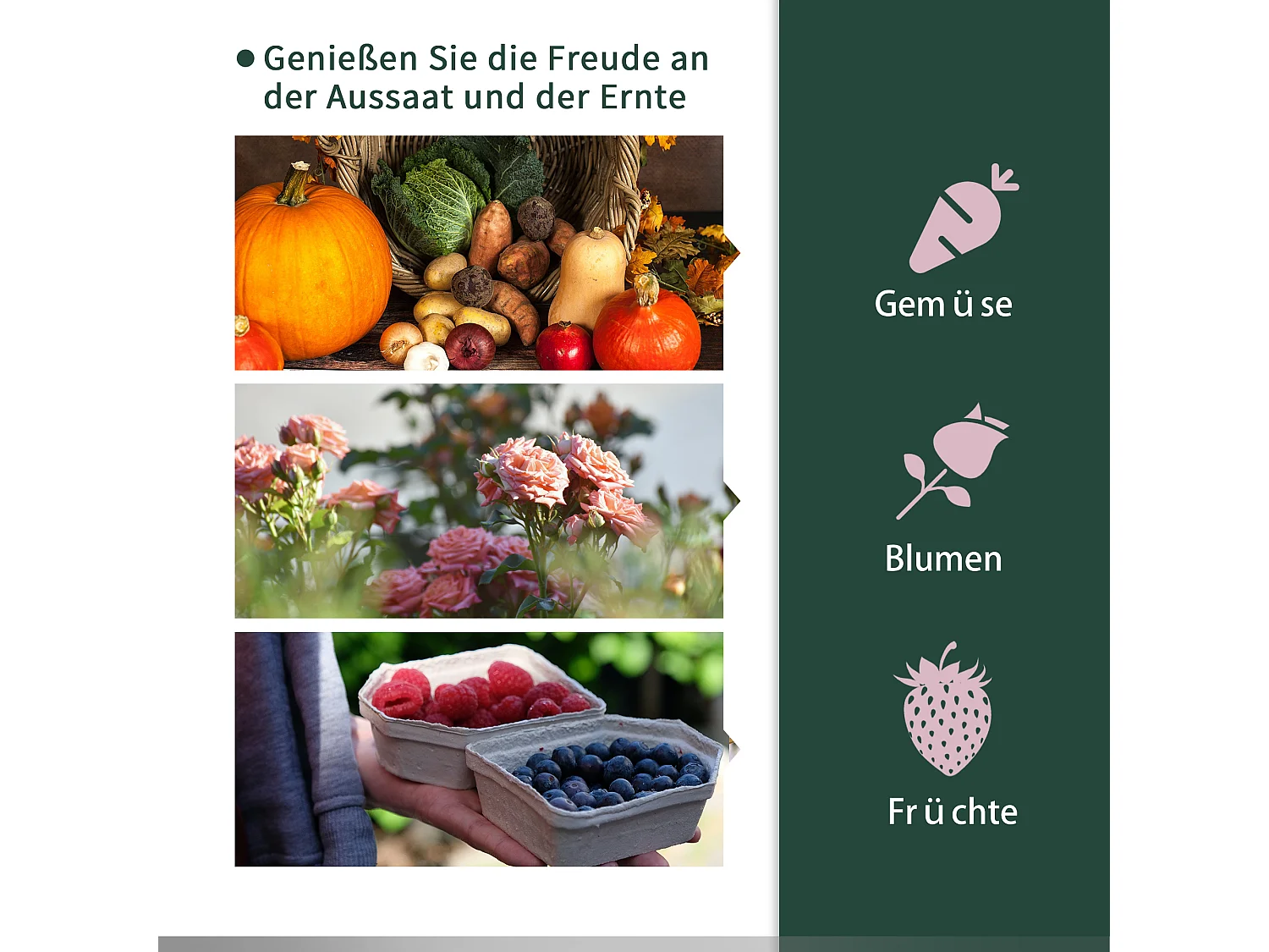 Winterbestendige tomatenkas, stalen frame, waterdicht groen kunststof zeil met oprolbaar raam (200x100x80cm)