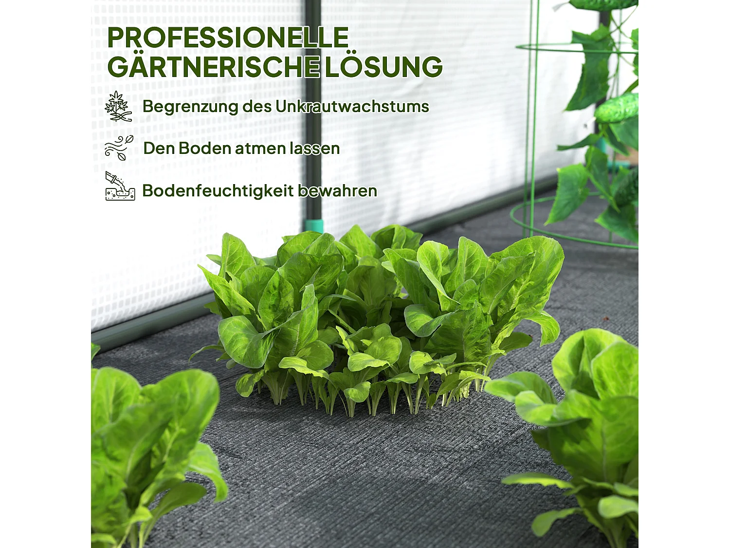 Tuinkas met roldeur, kunststof, wit (300x80x157 cm)