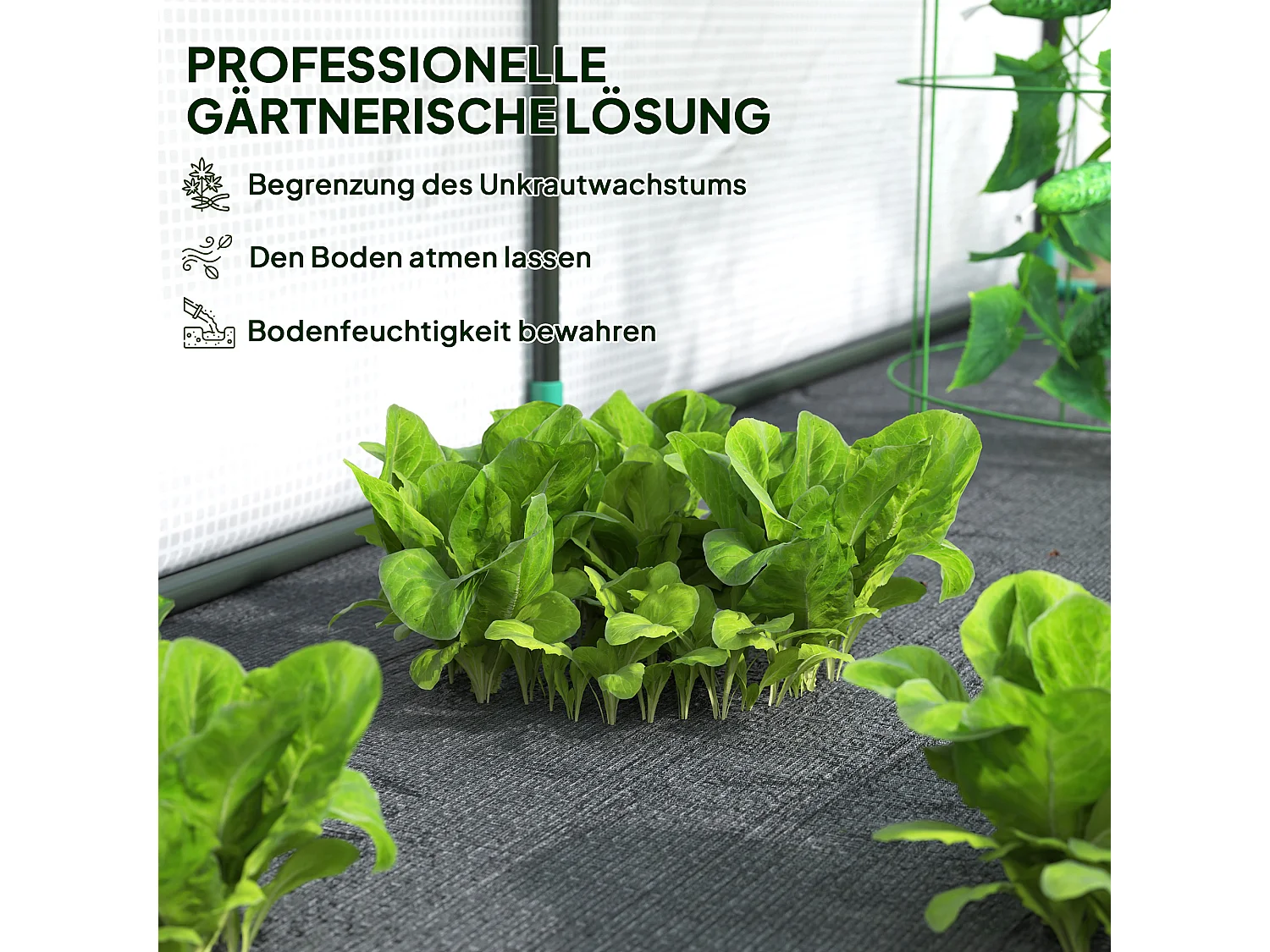 Tuinkas met roldeur, kunststof en staal, wit, UV-bescherming (200x80x157 cm)