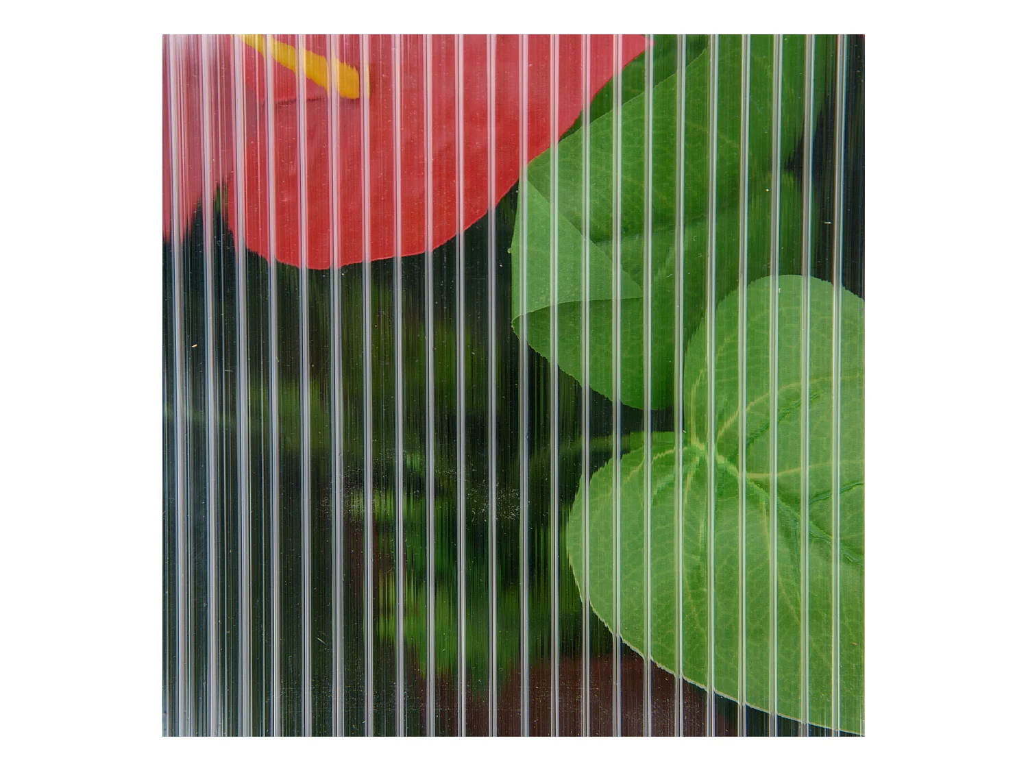 Mini serre en bois avec couverture réglable, plastique transparent, gris (90x52x49.5cm)