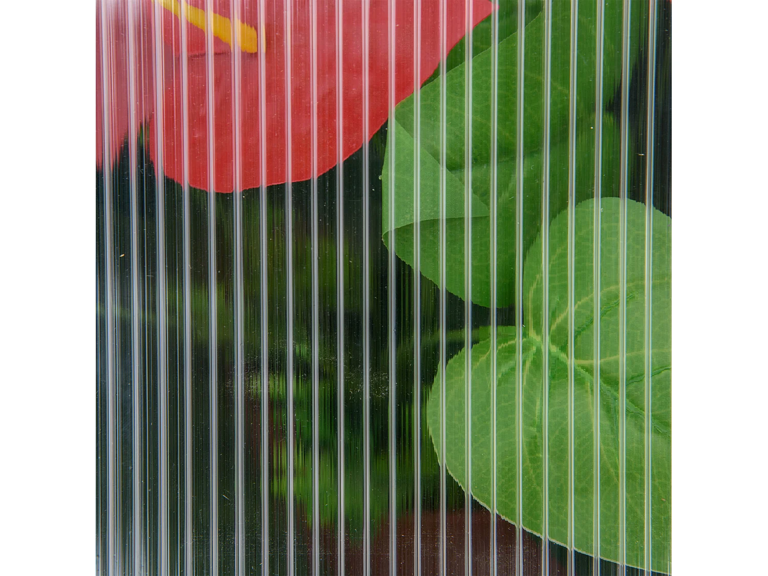 Mini serre en bois avec couverture réglable, plastique transparent, gris (90x52x49.5cm)