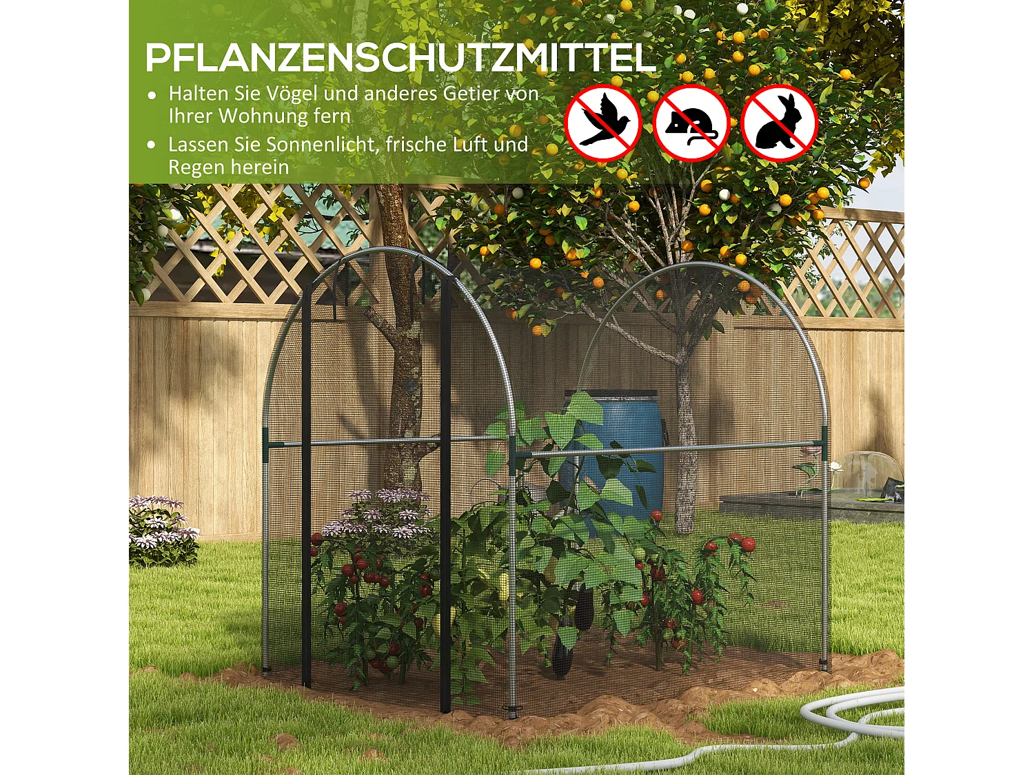 Plantenbeschermingstent met deur en klamboe, stalen frame, zwart, 1,2x1,5x1,5m