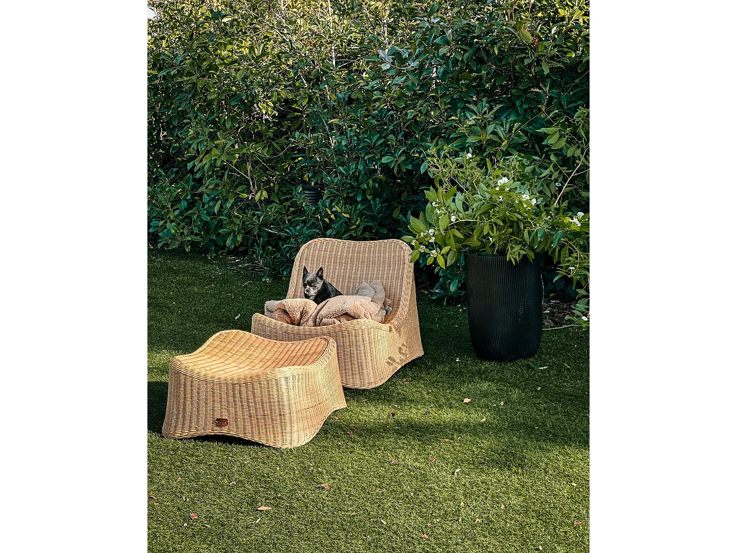 Garden Armchair with Ottoman AIGANI Rattan Natural