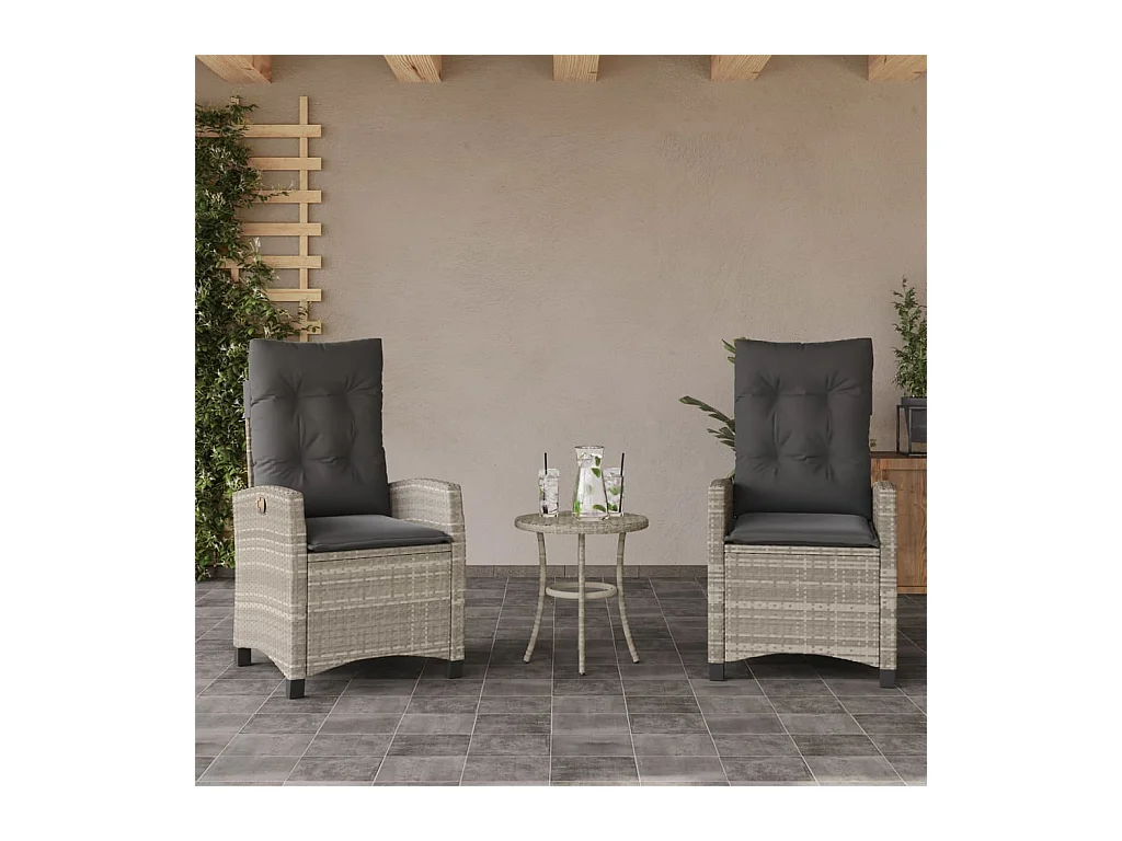 Chaises inclinables jardin lot de 2 et coussins résine tressée