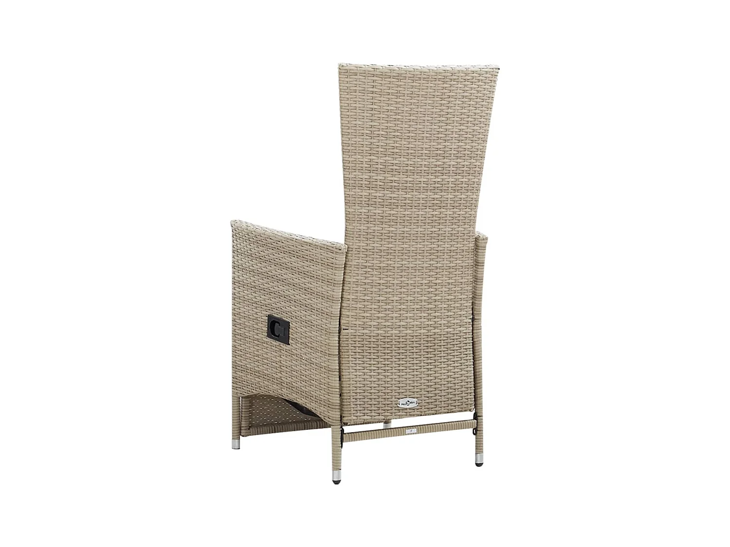 Set van 2 relaxstoelen en kussens Beige geweven hars